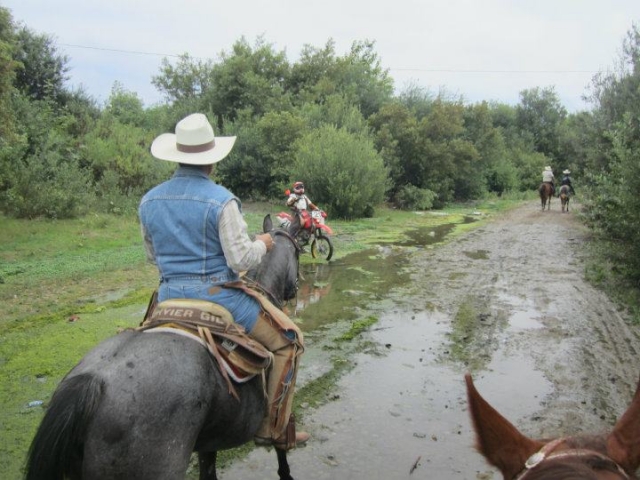 Rutas a caballo naturaleza